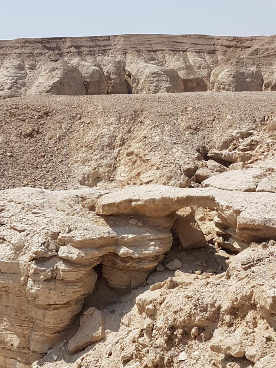 Nadia Hosting Dead Sea Villa Neve Zohar Bagian luar foto