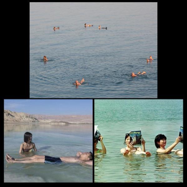 Nadia Hosting Dead Sea Villa Neve Zohar Bagian luar foto
