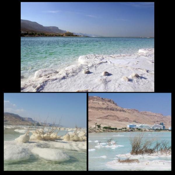 Nadia Hosting Dead Sea Villa Neve Zohar Bagian luar foto