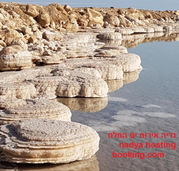 Nadia Hosting Dead Sea Villa Neve Zohar Bagian luar foto