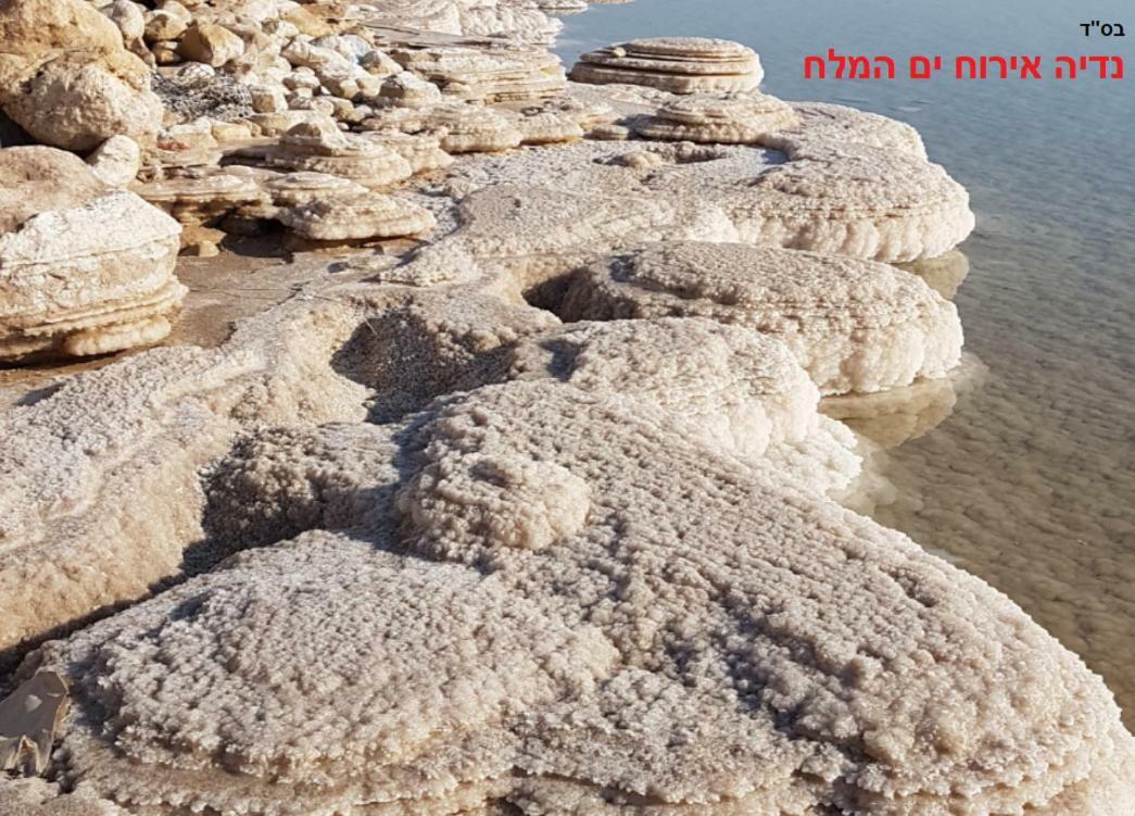 Nadia Hosting Dead Sea Villa Neve Zohar Bagian luar foto