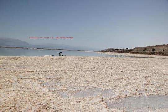 Nadia Hosting Dead Sea Villa Neve Zohar Bagian luar foto