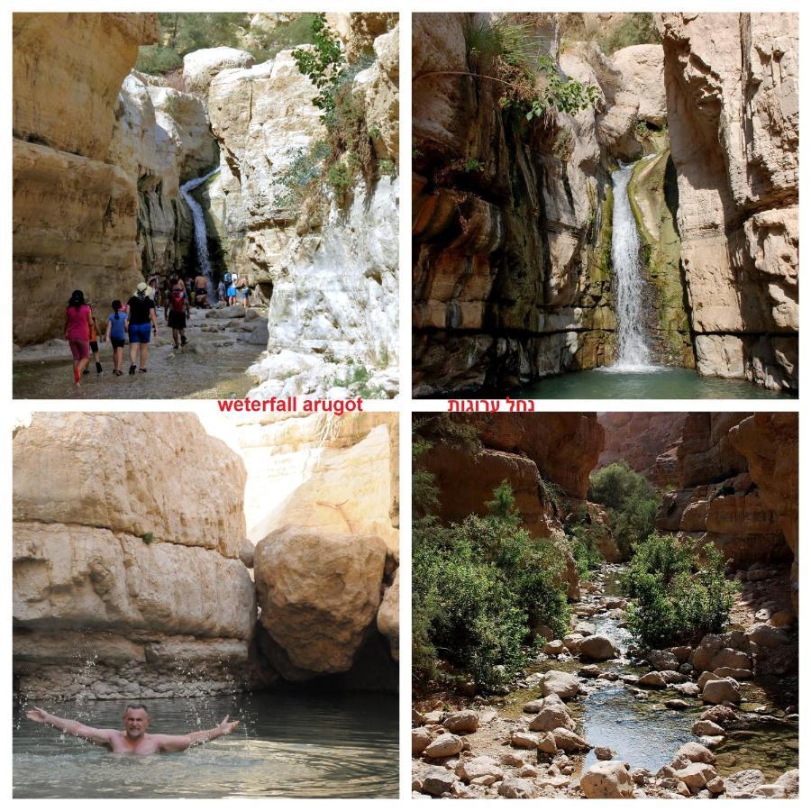 Nadia Hosting Dead Sea Villa Neve Zohar Bagian luar foto